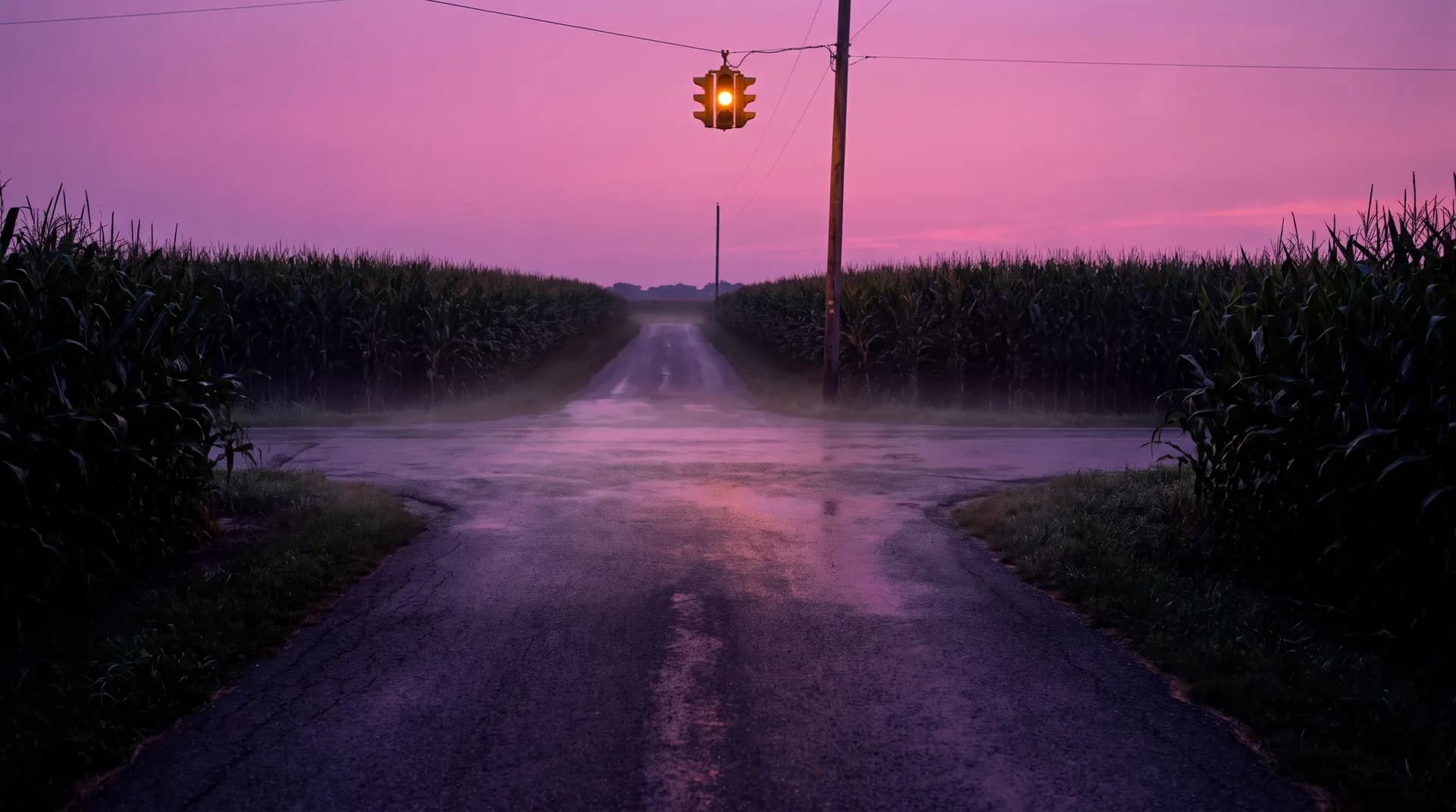 A rural crossroads between cornfields at dusk with an amber signal light under a magenta sky.